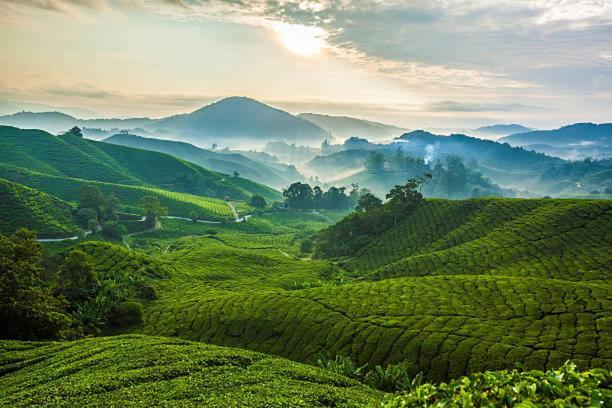 Ou Inn Cameron Highlands ,Ferm Nyonya Restaurant ตานาห์ราตา ภายนอก รูปภาพ